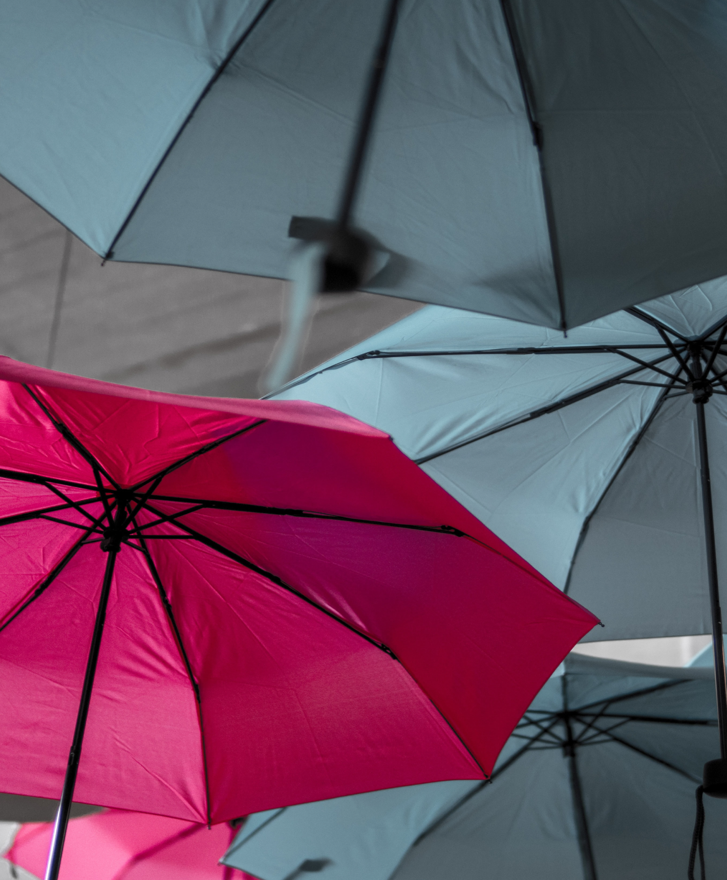 red umbrella Insurance