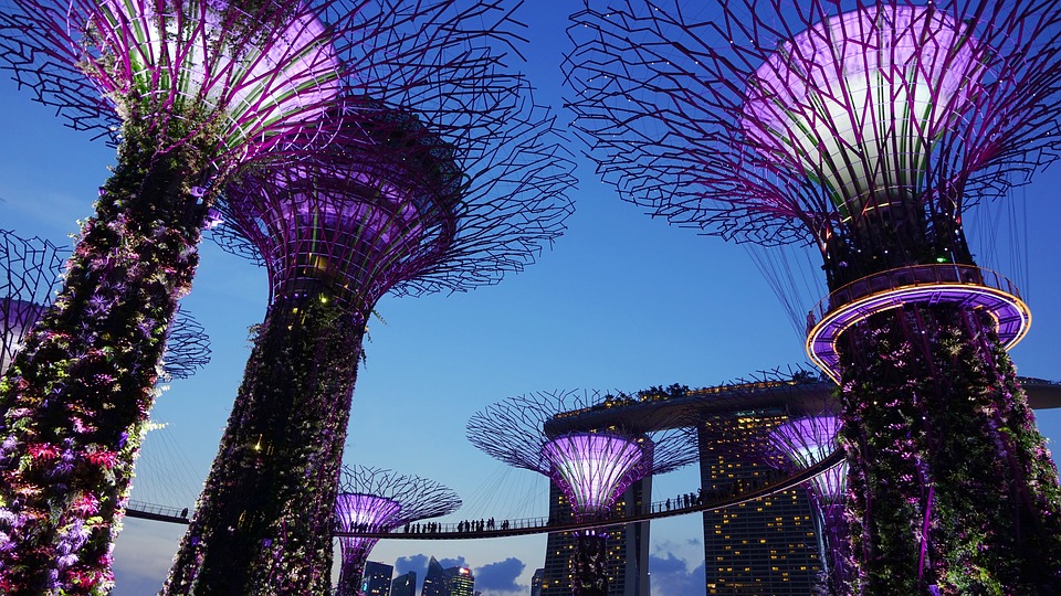 Spotlight on: Singapore and the Energy Transition