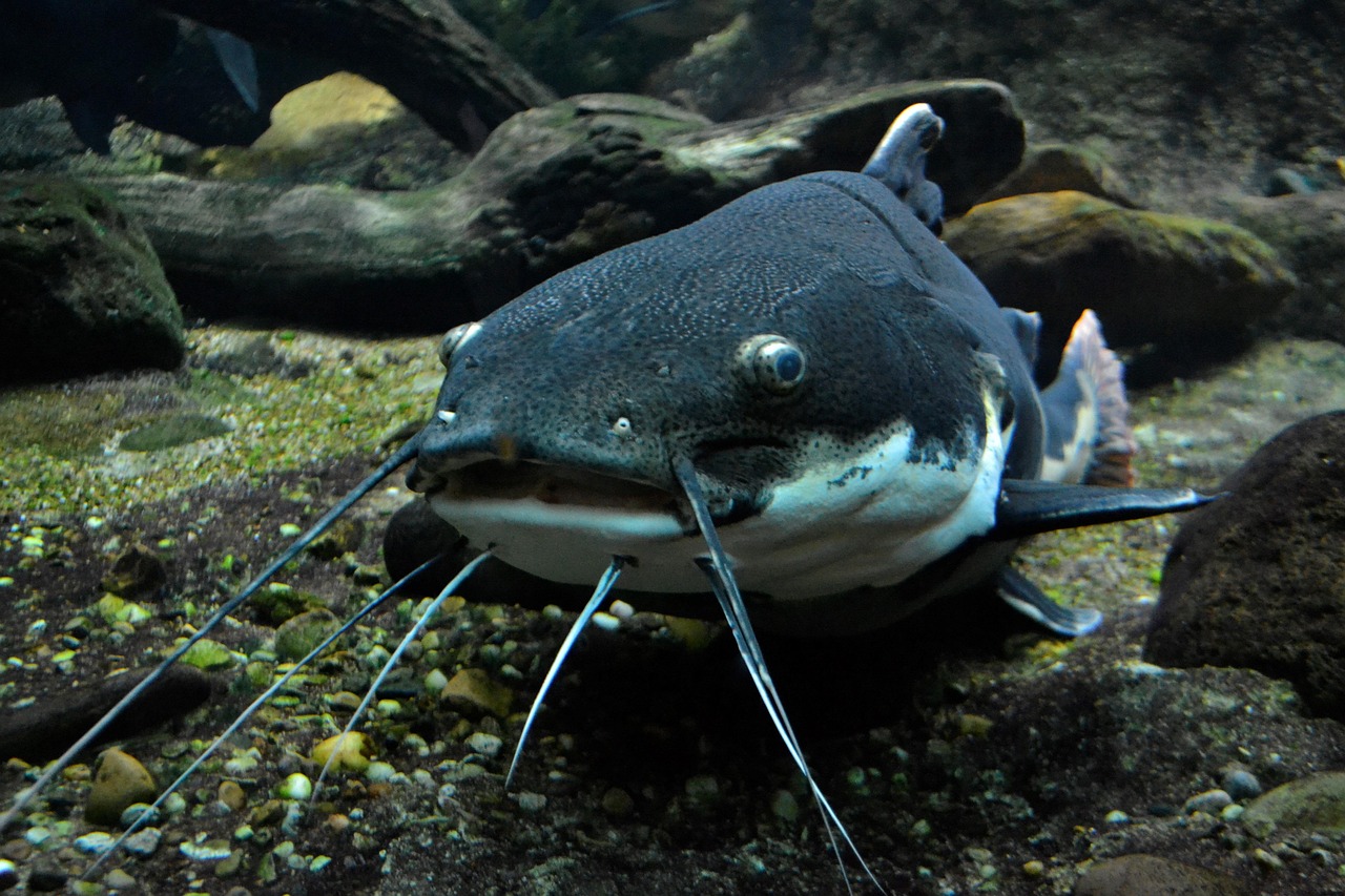 How not to catfish a journalist