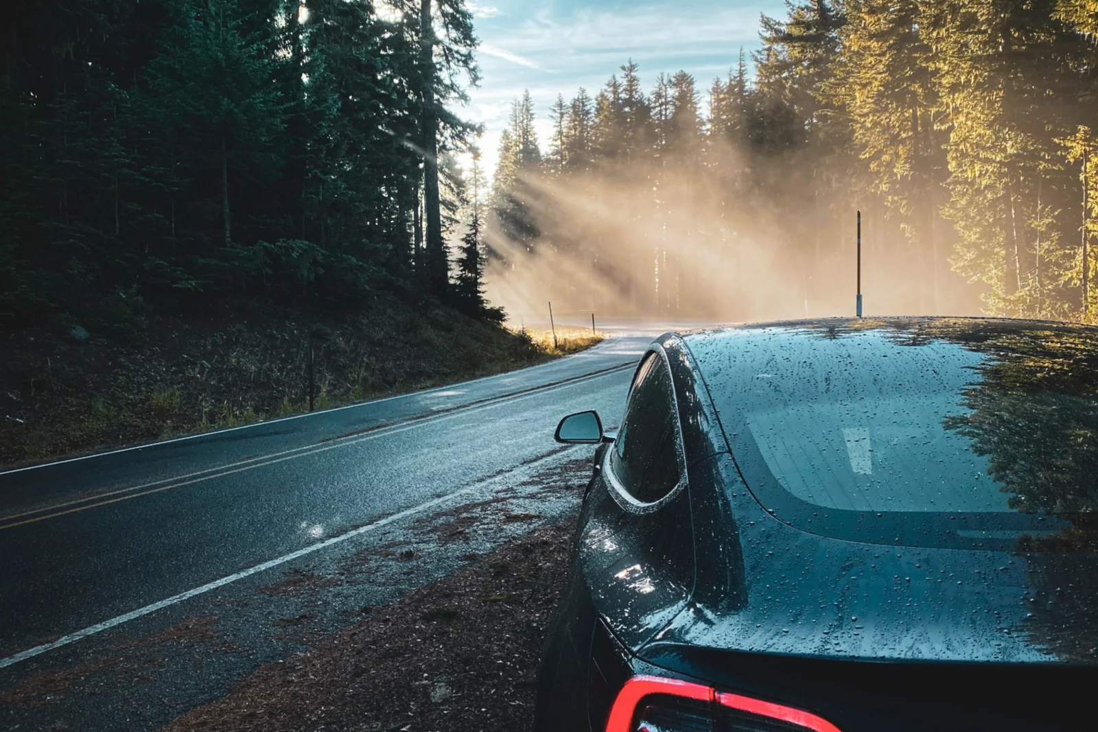 Is your brand as resilient as Tesla’s?